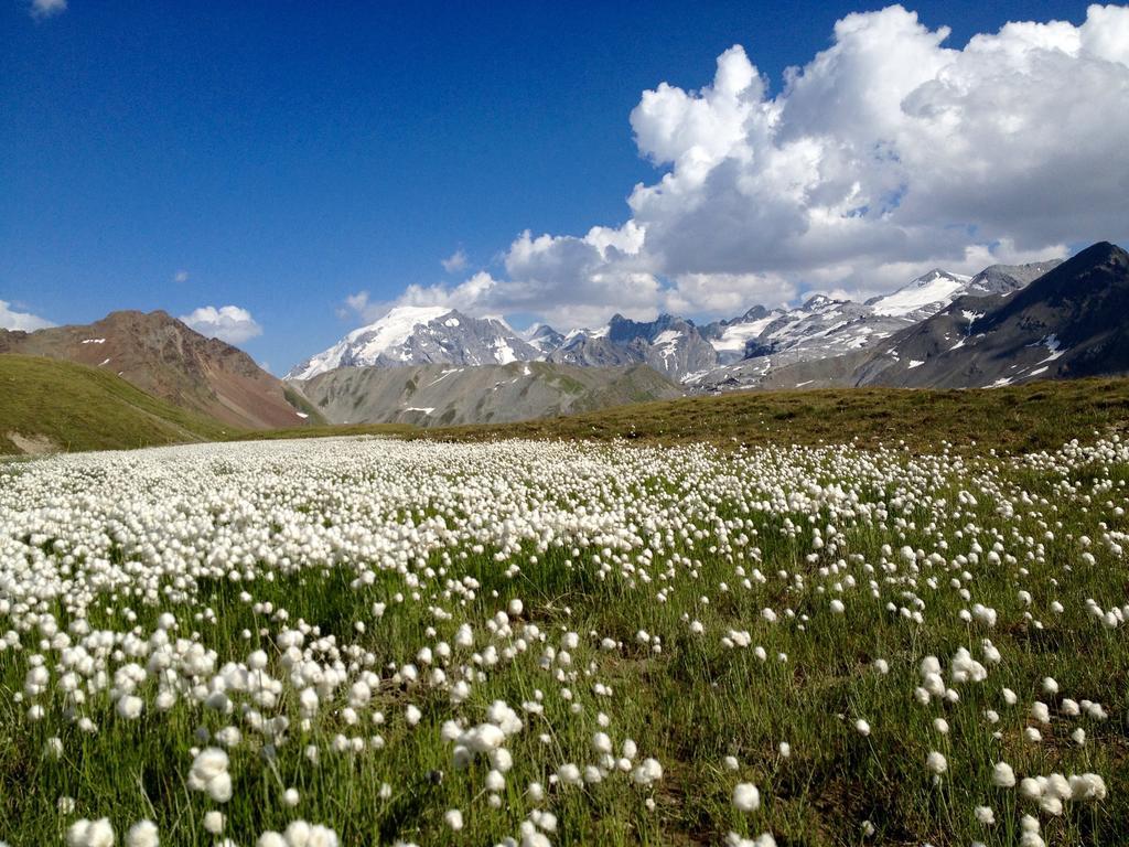 Albergo Quarto Pirovano Passo Stelvio Zewnętrze zdjęcie